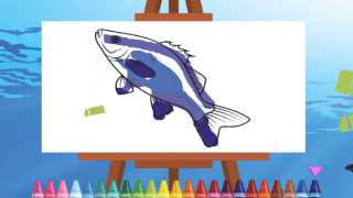 Friendly Fish Coloring